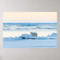 Hielo y nieve | Polar Bear Iceberg Noruega