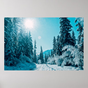 Póster Hielo y nieve   Reserva Natural de Altai, Rusia