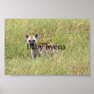 Póster hiena de bebé