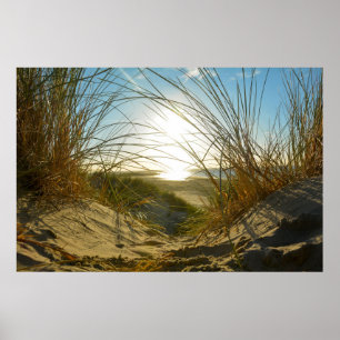 Póster Hierba de dunas y mar -