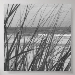 PÓSTER HIERBA DE LA PLAYA
