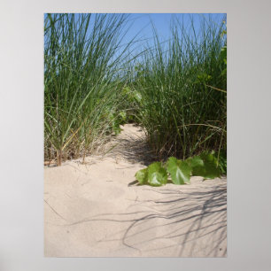 Póster Hierba de la playa, dunas de Warren, MI