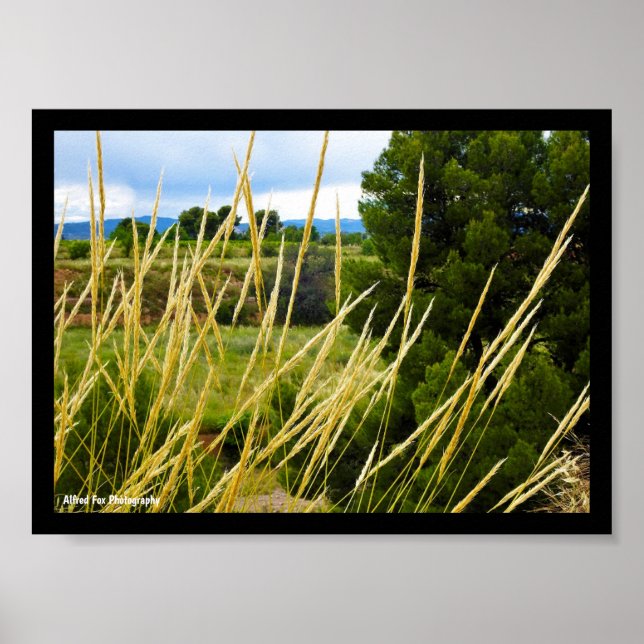 Póster Hierba Silvestre del Campo (Frente)