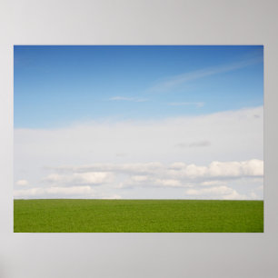 Póster Hierba verde