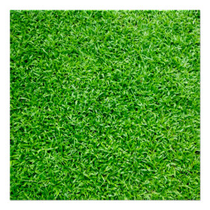 Póster Hierba verde
