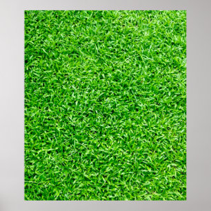 Póster Hierba verde