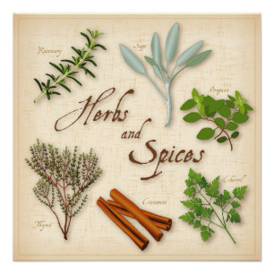 Póster Hierbas y especias, Rosemary, Sage, Thyme, Cinnamé