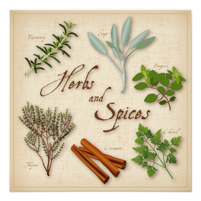 Póster Hierbas y especias, Rosemary, Sage, Thyme, Cinnamé (Anverso)