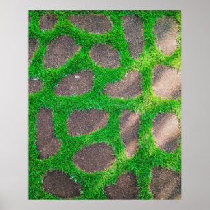 Póster High angle photography of grass field
