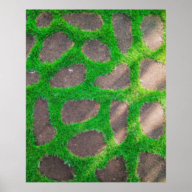 Póster High angle photography of grass field (Frente)