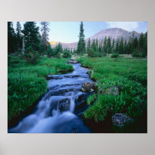 Póster HIGH UINTAS WILDERNESS, UTAH. Stillwater Fork