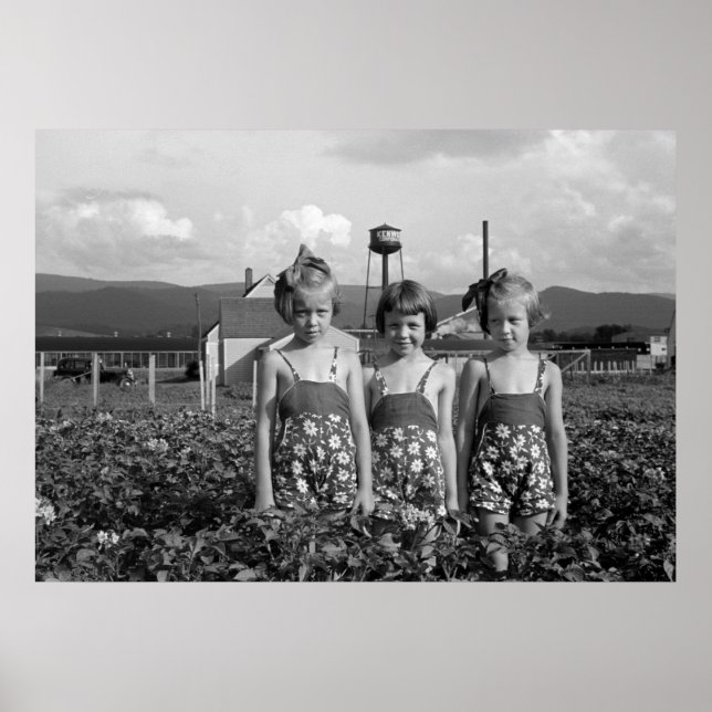 Póster Hijas de granjeros, 1939 (Frente)