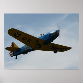 Póster Hijo de hadas PT-19 Cornell.