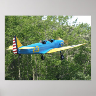 Póster Hijo de hadas PT-19 Cornell.