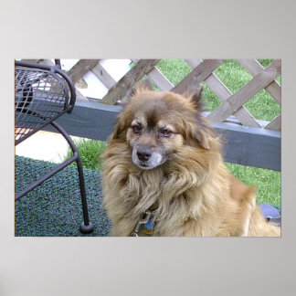 Póster Hijo número uno