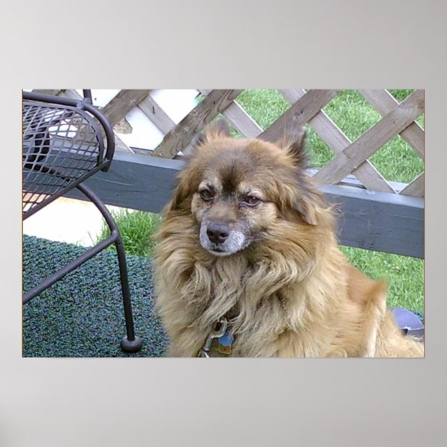 Póster Hijo número uno (Frente)