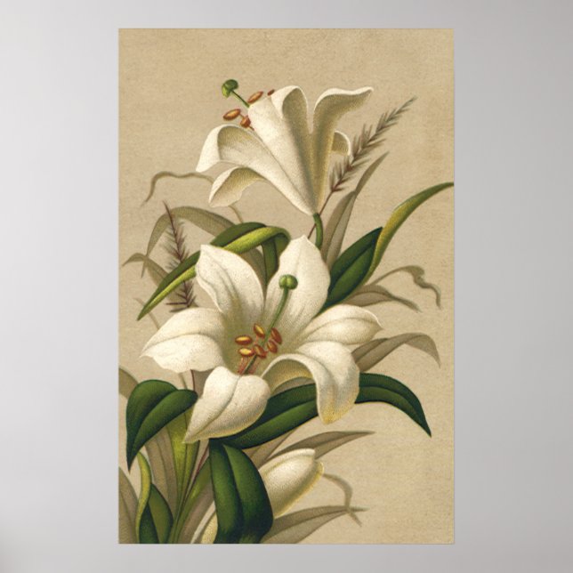 Póster Hijos de Semana Santa, flores victorianas en flor (Frente)