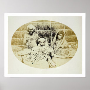 Póster Hindu Vegetable and Fruit Sellers in Madras, 19th