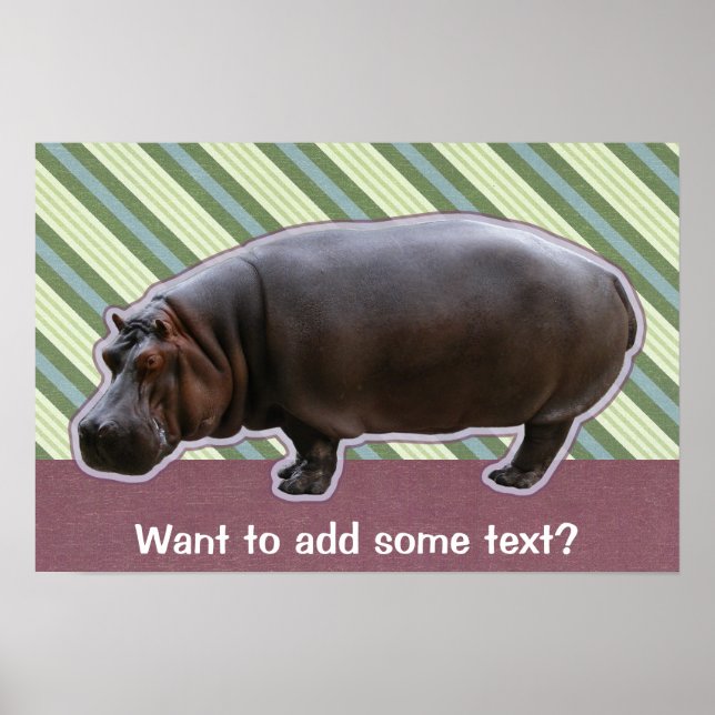 Póster Hippopotamus Poster Print (Frente)