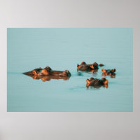 HIPPOS DE NAVEGACIÓN