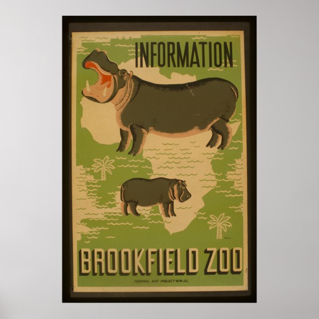 Póster Hippos en el zoológico de Brookfield Information V (Frente)