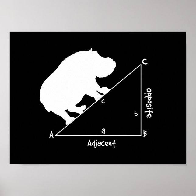 Póster Hippotenusa (Frente)