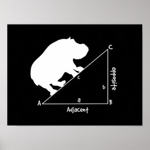Póster Hippotenuse