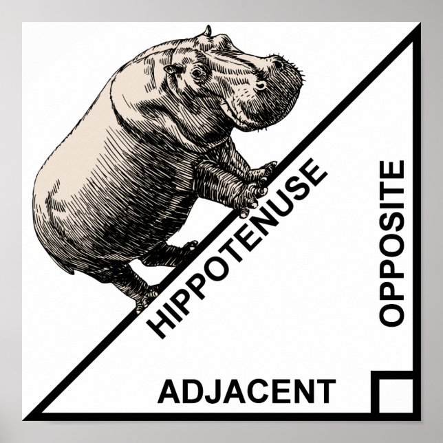 Póster Hippotenuse Hipotenuse Poster de geometría matemát (Frente)