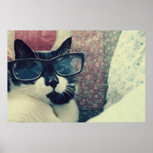Póster hipster cat poster