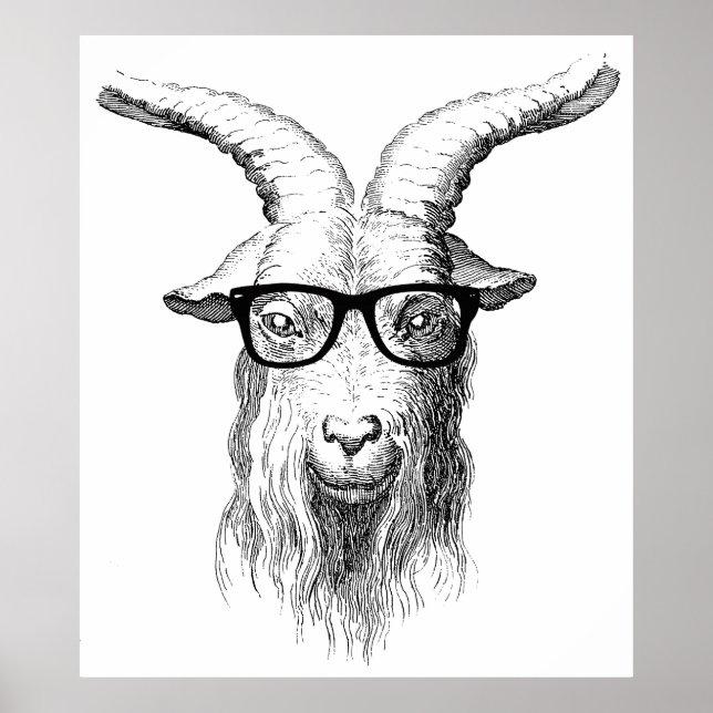 Póster Hipster Goat (Frente)