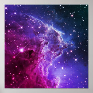 Póster Hipster Morado Ombre Cabeza de Mono Nebulosa