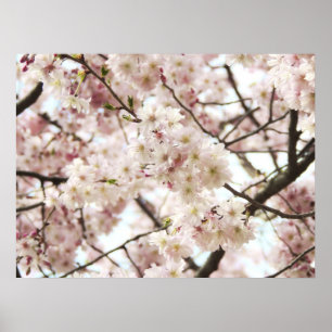 Póster Hipster Poster