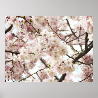 Póster Hipster Poster