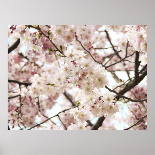 Póster Hipster Poster (Frente)