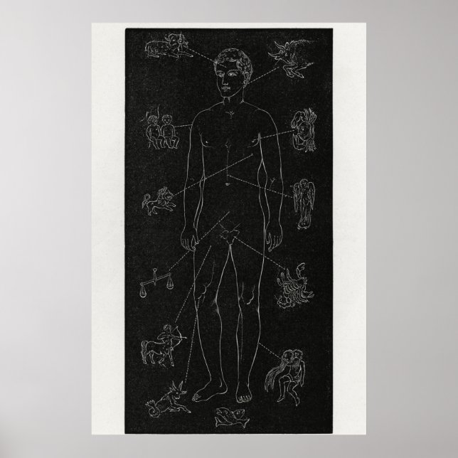 Póster Hiram Eratus Butler - Poster de Biología Solar (Frente)