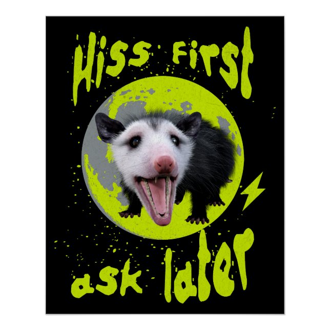 Póster Hiss First Ask Later Divertido Humor de Zarigüeya  (Anverso)