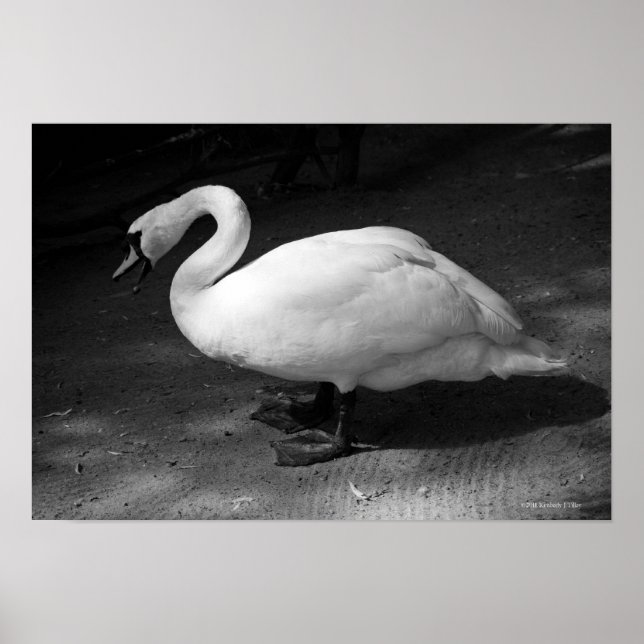 Póster HiSSs (Frente)