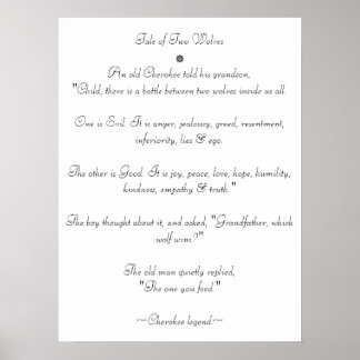 Póster Historia de dos lobos