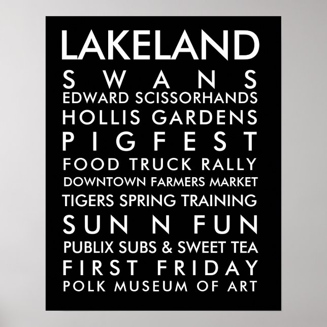 Póster Historia de Lakeland texto blanco 16x20 (Frente)