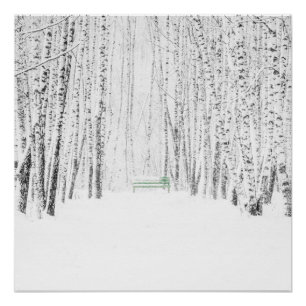 Póster Historia de los Navidades blancos