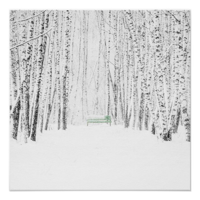 Póster Historia de los Navidades blancos (Anverso)