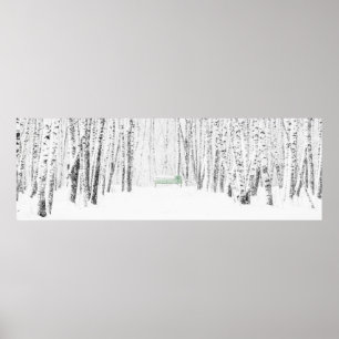 Póster Historia de los Navidades blancos