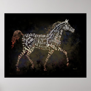 Póster Historia del poster árabe del caballo