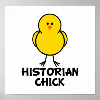 Póster Historiador Chick