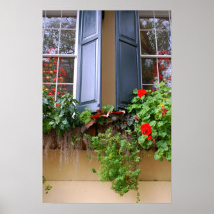 Póster Historic Charleston Window Box