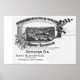 Póster Históricas manantiales de Suwannee, río suwanés de