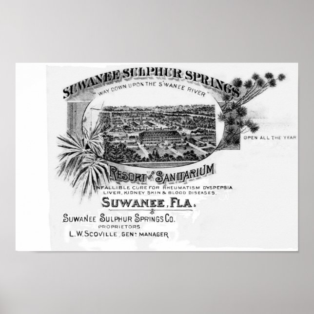 Póster Históricas manantiales de Suwannee, río suwanés de (Frente)