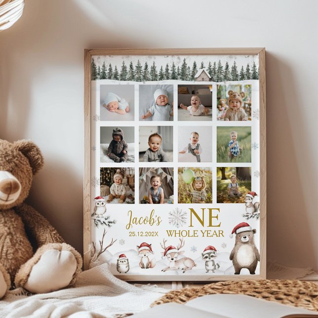 Póster Hito fotográfico de primer año de los animales de  (Subido por el creador)