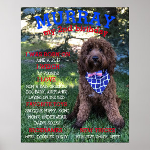 Póster Hitos de la fiesta de cumpleaños de los perros de 