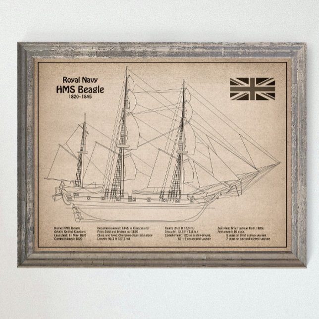 Póster HMS Beagle Tall Ship - Ship Blueprint SD (Subido por el creador)
